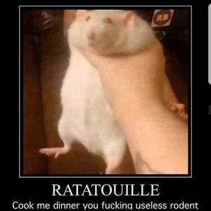 Meet your Posher, Skye